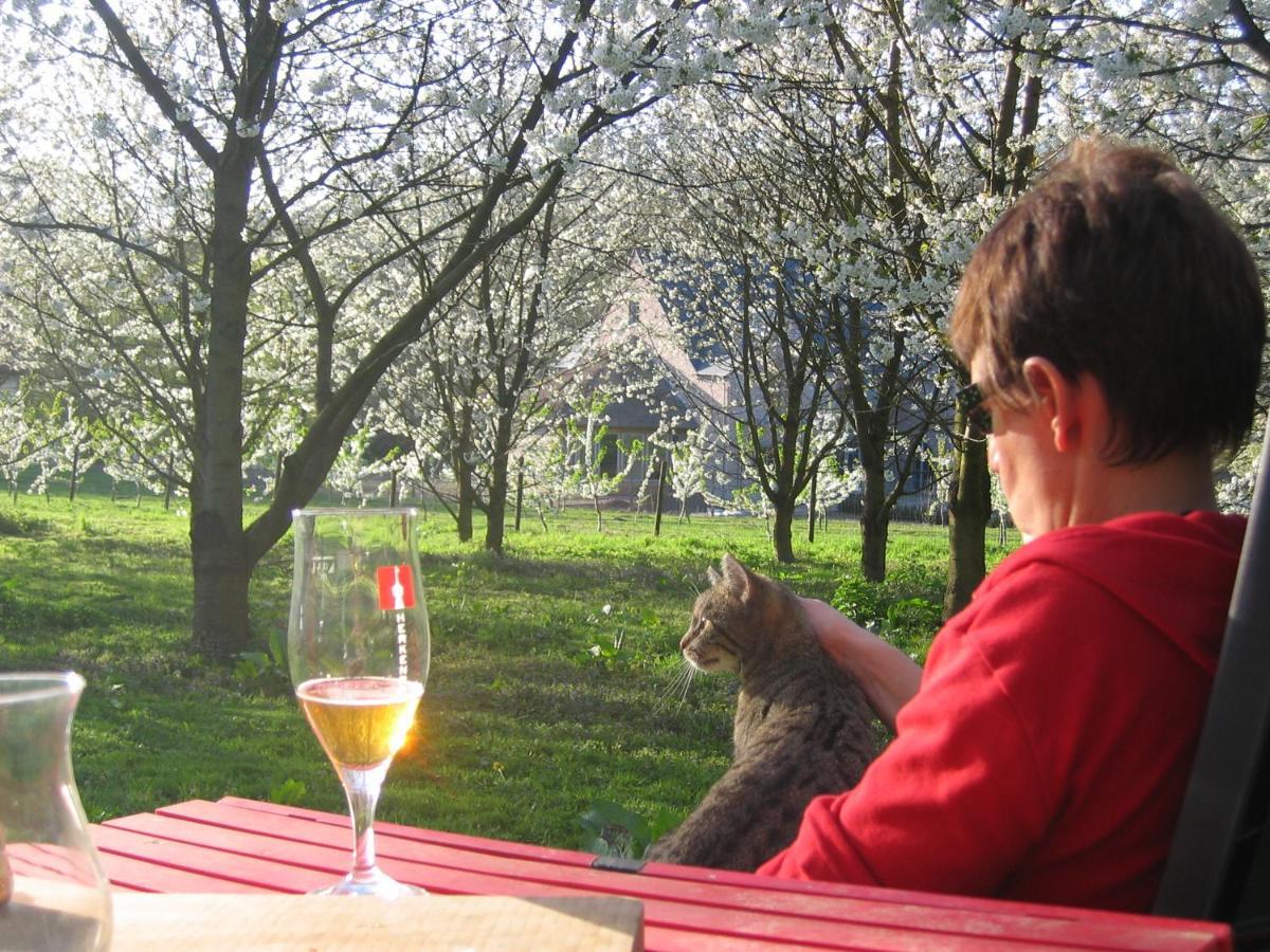 B&B Casa De Paja Sint-Truiden Eksteriør bilde